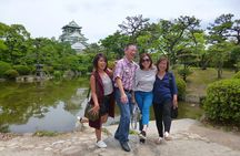 Osaka Castle and Sumiyoshi Taisha Shrine Private Half-Day Tour