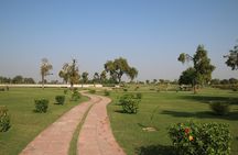 Day Trip to Modhera & Patan City (Guided Sightseeing Tour from Ahmedabad)
