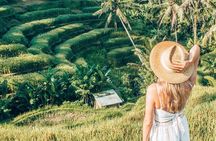 Bali Full-Day Sightseeing Trip with Lunch