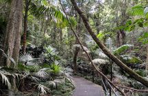 Erupting Blowholes and Ancient Rainforests SOUTH COAST OF SYDNEY PRIVATE TOUR