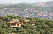 Jordan Pass 5-Night Magic Private Tour: Dead Sea, Mount Nebo, Amman, and Jerash