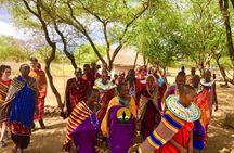 2-Day Masai Village Camping Experience and Kikuletwa Hot Spring