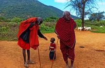 2-Day Masai Village Camping Experience and Kikuletwa Hot Spring
