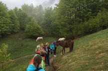 5-Days Hiking Tour to the north of Albania