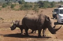 Nairobi National Park Tour