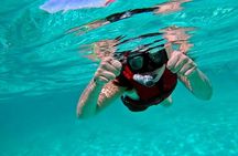 Jungle Adventure Tour in Cancun by Speedboat with Snorkeling