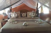 3 Days Nyerere NP [Selous GR] Game, Walking and Boat