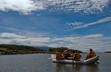 Private Full-Day Gable Island Eco-Adventure in the Beagle Channel