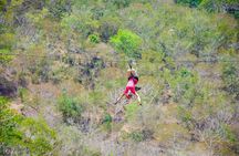 Jungle & River Zipline Tour – Choose Boat or Van Ride