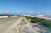 North and South Tour + Beach Time with a Local Native Guide