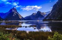 Premium Milford Sound Tour Including Cruise, Flight & Lunch