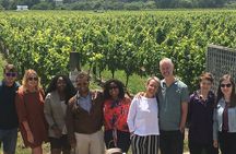 Martinborough Foodie Half Day Tour