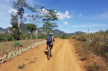 Krabi Countryside Eco Cycling Tour - Multiple Trails