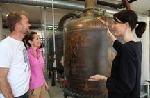 Countryside and Wine Tasting Full-day tour from Nice 