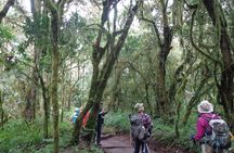 Private Full-Day Hiking Tour in Mount Kilimanjaro