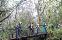 Private Full-Day Hiking Tour in Mount Kilimanjaro