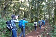 Private Full-Day Hiking Tour in Mount Kilimanjaro