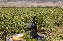 Private Wine Tasting Day Tour from Beirut