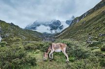 Hike the Heart of Nepal: Langtang Valley 7-Day Trek