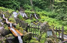 [Oysters in Suto] Let's go to Cape Kamui, Oyster Hut and Fukidashi Park by private car!To/from Sapporo
