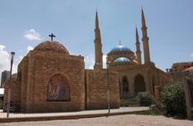 Exploring Ancient Wonders, Vineyard Delights, and Majestic Cedars