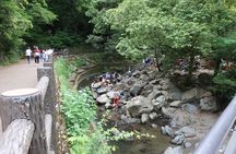 Minoh Waterfall and nature walk through the Minoh Park