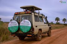 3 Days Wild Tour Queen Elizabeth National Park Safari Uganda