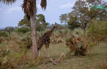 3 Days Wild Tour Queen Elizabeth National Park Safari Uganda