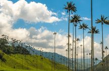 Full Day Tour of Cocora Valley, Salento, and Filandia Coffee Town (from Armenia)