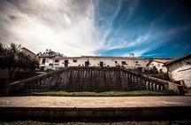 Private Cusco City Tour, San Pedro Market, San Blas Neighborhood & Sacsayhuaman