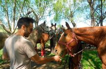 Horseback Riding Adventure with Asado in Buenos Aires!