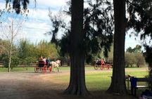 Estancia Day in Buenos Aires!