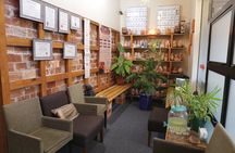 Vibrosaun Therapy Experience