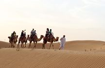 Sunset Camel Trek & Red Dunes Safari with BBQ at Al Khayma Camp From Dubai