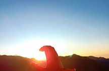 Poon Hill Trek - Short & Easy Trek in the Himalayas 