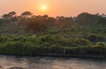 Chitwan National Park Jungle Safari Tours 3 days