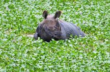 Chitwan National Park Jungle Safari Tours 3 days