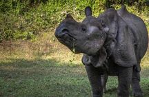 Chitwan National Park Jungle Safari Tours 3 days