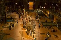 Paris Private Family Tour - Highlights & the Best Museum for Kids