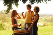 Hunter Valley All Inclusive Boutique Wine Tour from Sydney