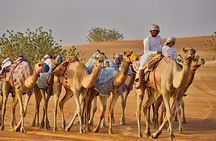 Bediyah: Camel Safari through the Wahiba Sands Desert