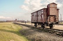 From Krakow: Auschwitz & Wieliczka Salt Mine Guided Tour