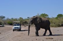 Chobe Day Trip
