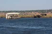 Chobe Day Trip