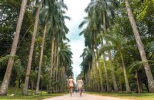 Kandy Day Tour from Colombo