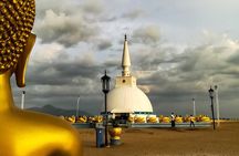 Kandy Day Tour from Colombo