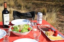 Fly Fishing Bariloche half day trip!