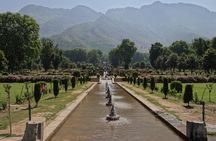 Nature Trails of Mysore (Guided Half Day City Sightseeing Tour)