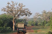 Bundala National Park Private Safari