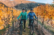 Bike The Wineries Full Day Ride - Queenstown